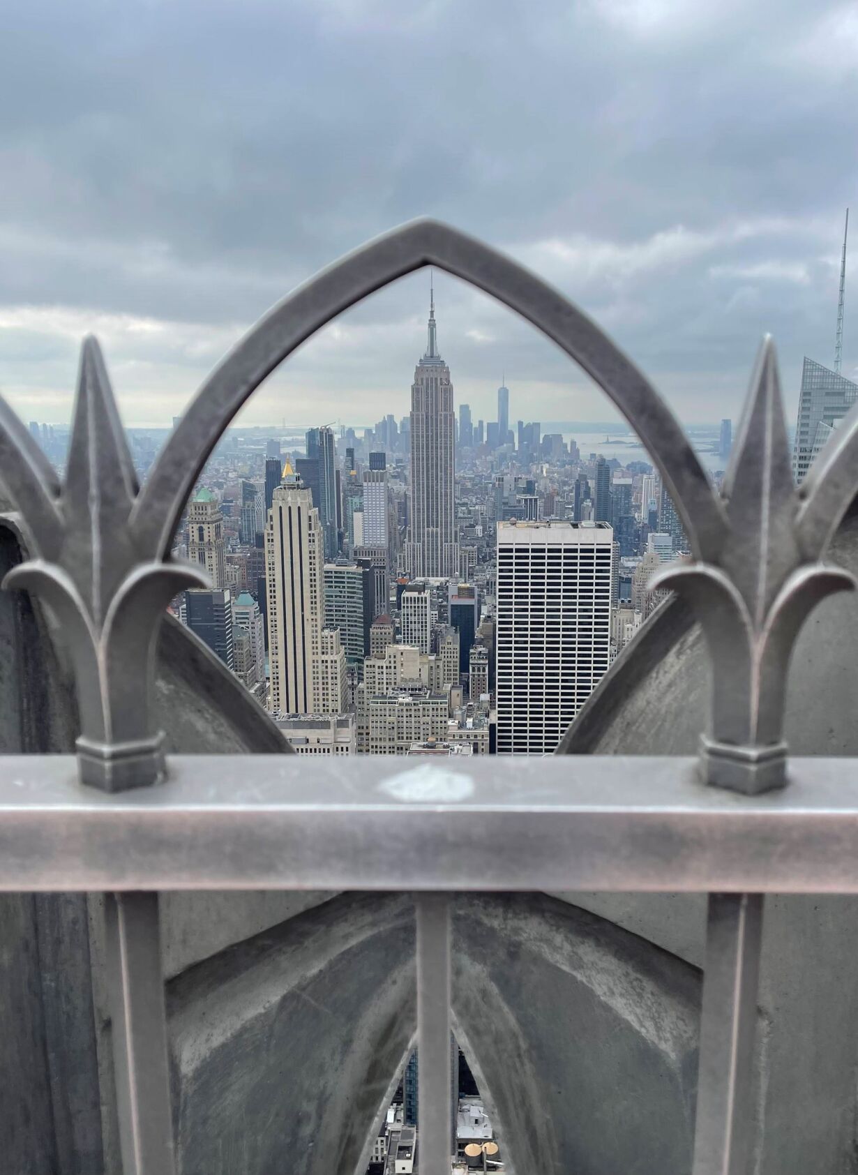Concrete Jungle